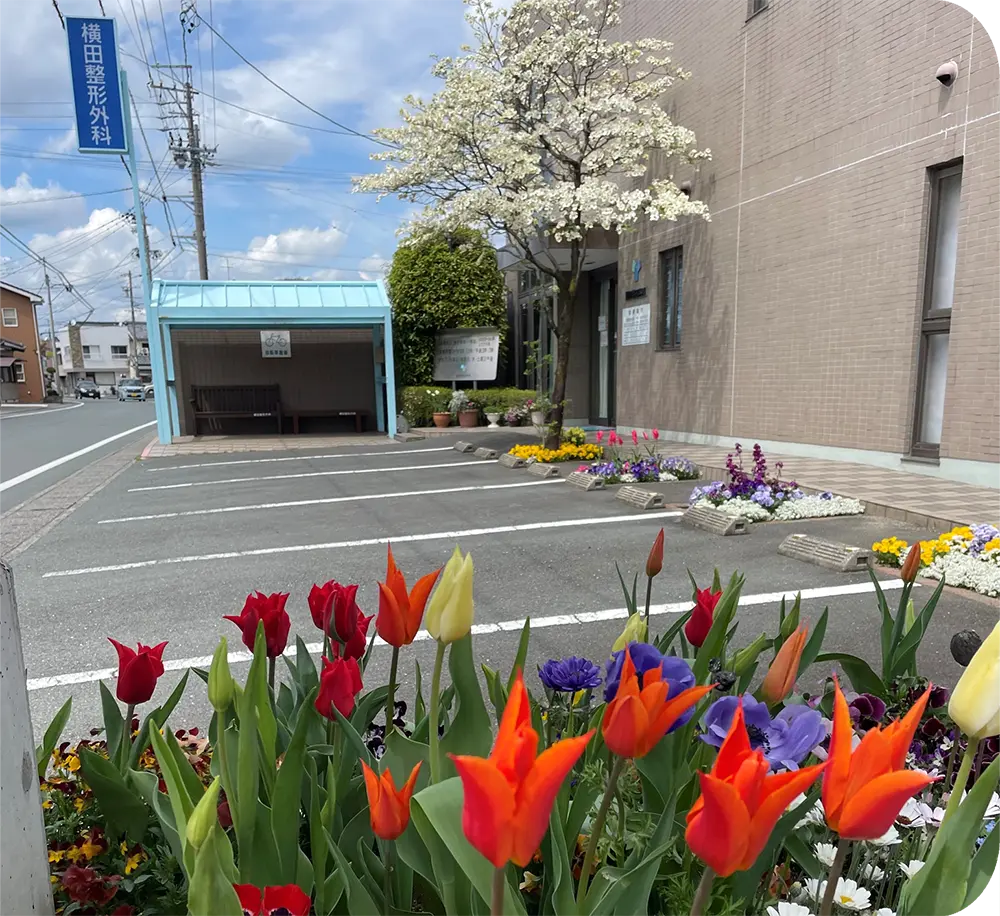 クリニックのご案内